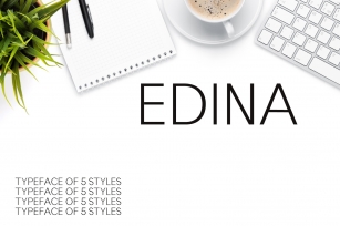 Edina Sans Serif Minimal Typeface Font Download