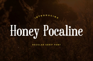 Honey Pocaline Serif Font Download