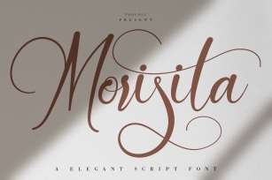 Morisita | Elegant Script Font Font Download
