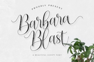 Barbara Blast || Beautiful Script Font Font Download