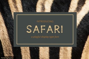 Safari Playful Display Font Typeface Font Download