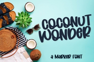Coconut Wonder - A Simply Adorable Marker Font Font Download