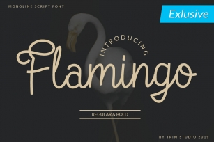 Flamingo - Monoline Script Font Font Download