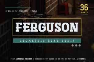 Ferguson Slab Font Family Font Download