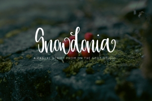 Snowdonia Font Download