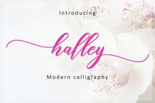Halley Script Font Download