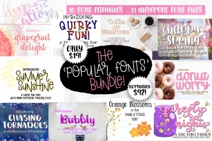 The Popular Fonts Bundle - 10 font families! Font Download