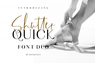 Shutter Quick Font Duo Font Download