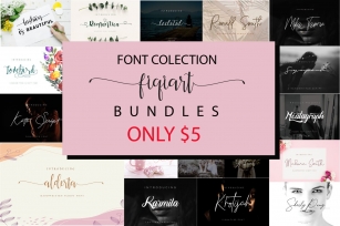 Font Collection Fiqiart is packed with 22 elegant Font Download