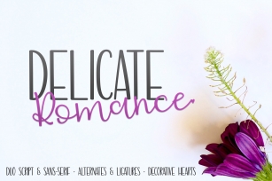 Delicate Romance Font Duo Font Download