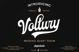 Voltury 4 fonts with extras Font Download