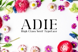 Adie High Class Serif Typeface Font Download