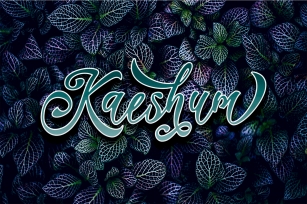 Kaeshum Script - BOLD Font Download