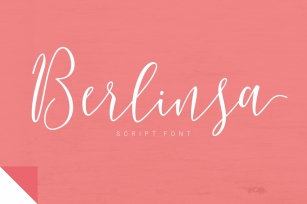 Berlinsa Script Font Font Download