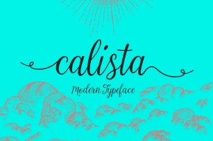 Calista Script Font Font Download