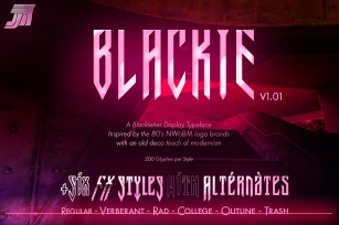 JVNE-Blackie Display Font Family Update v1.01 Font Download