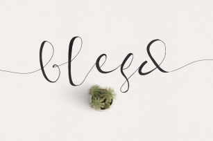 Blesd Typeface Font Download