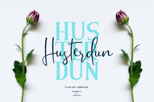 Husterdun Font Duo Font Download