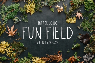 Fun Field a Fun typeface Font Download