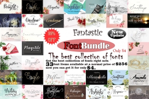 Fantastic FontBundle|the best collection of fonts Font Download