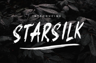 Starsilk Brush Font Font Download