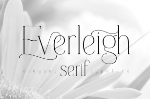 Everleigh Serif font Font Download