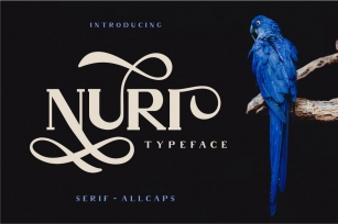 Nuri Typeface Font Download