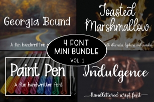 4 Font Mini Bundle - Volume 1 Font Download