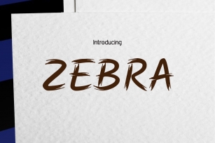 ZEBRA Clean Brush Font Download