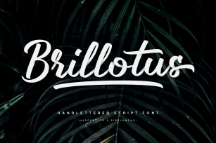 Brillotus - Hand lettered Font Font Download