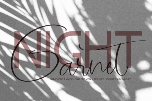 Garnet Night Font Duo Font Download