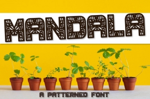 Mandala - A Fun Patterned Font - Perfect for Monograms Font Download
