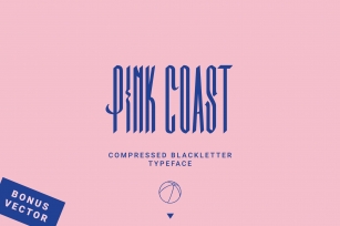 Pink Coast Typeface Font Download