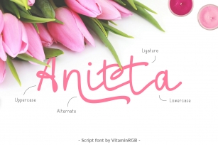 Anitta Script Font Font Download