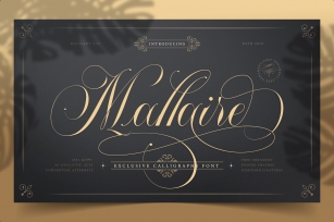 Mallaire Exclusive Calligraphy Font Font Download