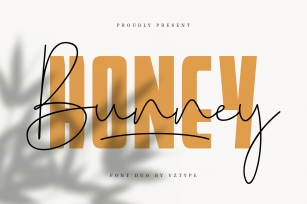 Honey Bunney Font Duo Font Download