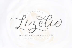 Lizelie Calligraphy font Font Download