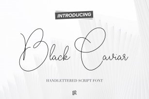 Black Caviar Script Font Font Download