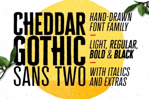 Cheddar Gothic Sans Two Fonts Font Download