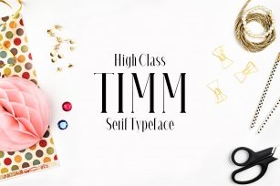 Timm Serif Typeface Font Download
