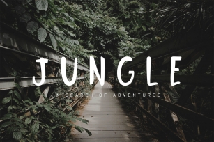 Jungle Display Font Font Download