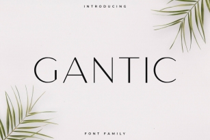 Gantic Font Family - Sans Serif Font Download