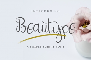 Beautype - Simple Script Font Font Download