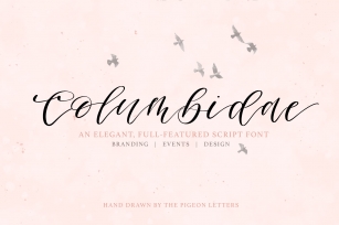 Columbidae Elegant Calligraphy Font Font Download