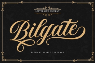 Bilgate Script Font Download