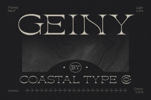 GEINY Font Download