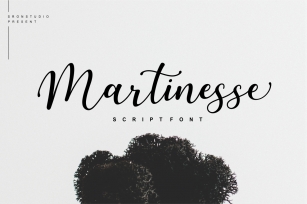 Martinesse - Script Font Font Download