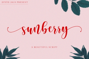 Sunberry | Beautiful Script Font Download