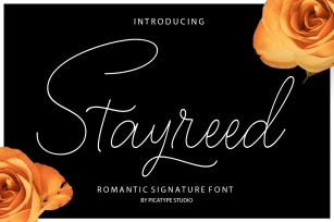 Stayreed Font Download