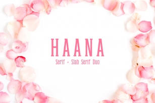 Haana Slab Serif Duo Font Font Download